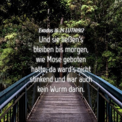 Picture 04 - Exodus 16:24 LUTH1912 - Und sie ließen's bleiben bis morgen, wie Mose - Bible Verse Picture