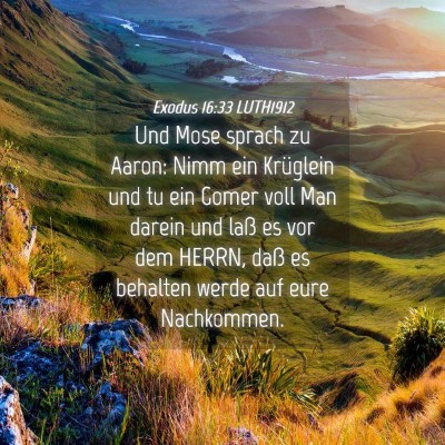 Picture 04 - Exodus 16:33 LUTH1912 - Und Mose sprach zu Aaron: Nimm ein Krüglein und - Bible Verse Picture