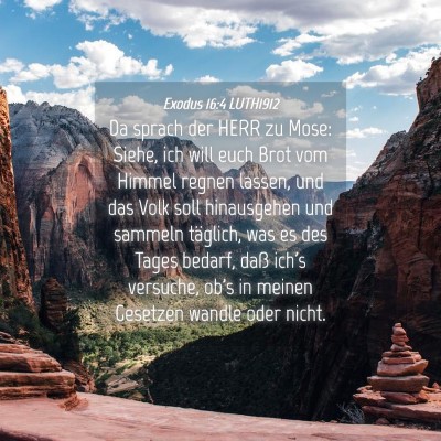 Picture 04 - Exodus 16:4 LUTH1912 - Da sprach der HERR zu Mose: Siehe, ich will euch - Bible Verse Picture