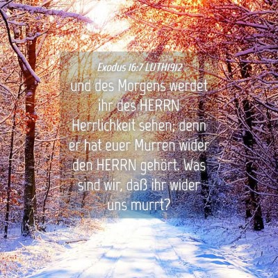 Picture 04 - Exodus 16:7 LUTH1912 - und des Morgens werdet ihr des HERRN Herrlichkeit - Bible Verse Picture