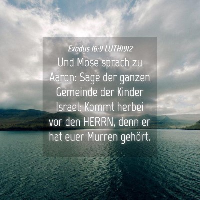 Picture 04 - Exodus 16:9 LUTH1912 - Und Mose sprach zu Aaron: Sage der ganzen - Bible Verse Picture