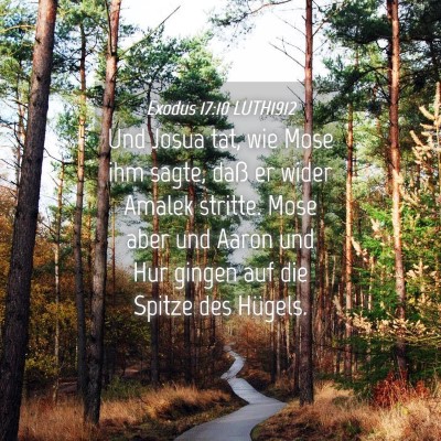Picture 04 - Exodus 17:10 LUTH1912 - Und Josua tat, wie Mose ihm sagte, daß er wider - Bible Verse Picture