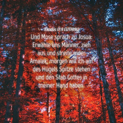 Picture 04 - Exodus 17:9 LUTH1912 - Und Mose sprach zu Josua: Erwähle uns Männer, - Bible Verse Picture