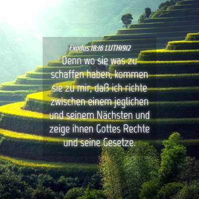 Picture 04 - Exodus 18:16 LUTH1912 - Denn wo sie was zu schaffen haben, kommen sie zu - Bible Verse Picture