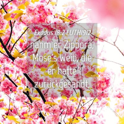 Picture 04 - Exodus 18:2 LUTH1912 - nahm er Zippora, Mose's Weib, die er hatte - Bible Verse Picture