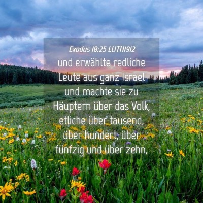 Picture 04 - Exodus 18:25 LUTH1912 - und erwählte redliche Leute aus ganz Israel und - Bible Verse Picture
