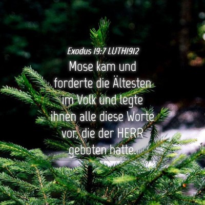 Picture 04 - Exodus 19:7 LUTH1912 - Mose kam und forderte die Ältesten im Volk und - Bible Verse Picture