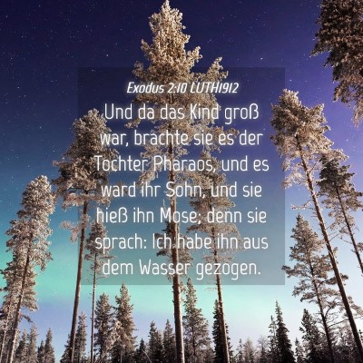 Picture 04 - Exodus 2:10 LUTH1912 - Und da das Kind groß war, brachte sie es der - Bible Verse Picture