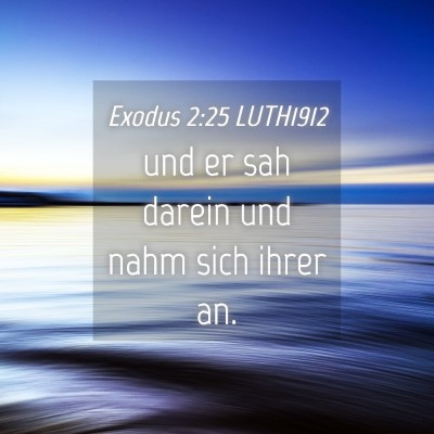 Picture 04 - Exodus 2:25 LUTH1912 - und er sah darein und nahm sich ihrer - Bible Verse Picture