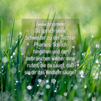 Picture 04 - Exodus 2:7 LUTH1912 - Da sprach seine Schwester zu der Tochter Pharaos: - Bible Verse Picture