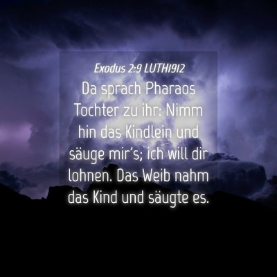 Picture 04 - Exodus 2:9 LUTH1912 - Da sprach Pharaos Tochter zu ihr: Nimm hin das - Bible Verse Picture