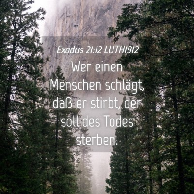 Picture 04 - Exodus 21:12 LUTH1912 - Wer einen Menschen schlägt, daß er stirbt, der - Bible Verse Picture