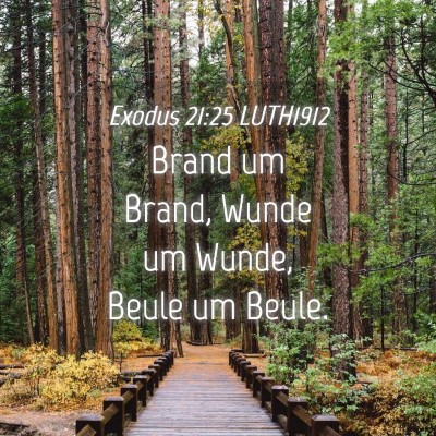 Picture 04 - Exodus 21:25 LUTH1912 - Brand um Brand, Wunde um Wunde, Beule um - Bible Verse Picture