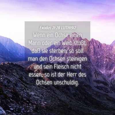 Picture 04 - Exodus 21:28 LUTH1912 - Wenn ein Ochse einen Mann oder ein Weib stößt, - Bible Verse Picture