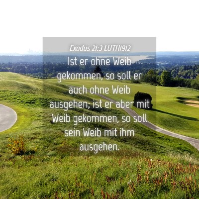 Picture 04 - Exodus 21:3 LUTH1912 - Ist er ohne Weib gekommen, so soll er auch ohne - Bible Verse Picture
