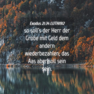 Picture 04 - Exodus 21:34 LUTH1912 - so soll's der Herr der Grube mit Geld dem andern - Bible Verse Picture
