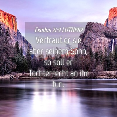 Picture 04 - Exodus 21:9 LUTH1912 - Vertraut er sie aber seinem Sohn, so soll er - Bible Verse Picture