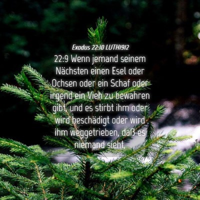 Picture 04 - Exodus 22:10 LUTH1912 - 22:9 Wenn jemand seinem Nächsten einen Esel oder - Bible Verse Picture