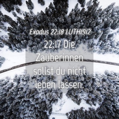 Picture 04 - Exodus 22:18 LUTH1912 - 22:17 Die Zauberinnen sollst du nicht leben - Bible Verse Picture