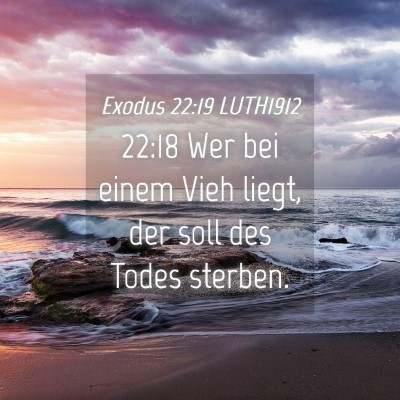 Picture 04 - Exodus 22:19 LUTH1912 - 22:18 Wer bei einem Vieh liegt, der soll des - Bible Verse Picture