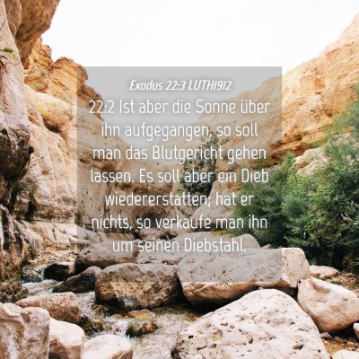Picture 04 - Exodus 22:3 LUTH1912 - 22:2 Ist aber die Sonne über ihn aufgegangen, so - Bible Verse Picture