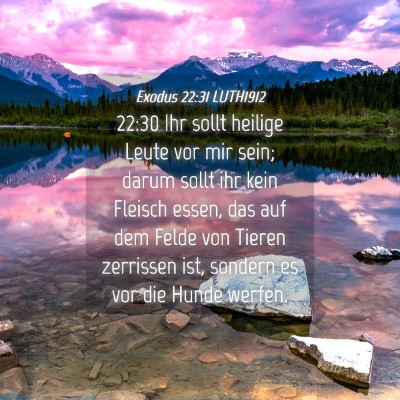 Picture 04 - Exodus 22:31 LUTH1912 - 22:30 Ihr sollt heilige Leute vor mir sein; darum - Bible Verse Picture