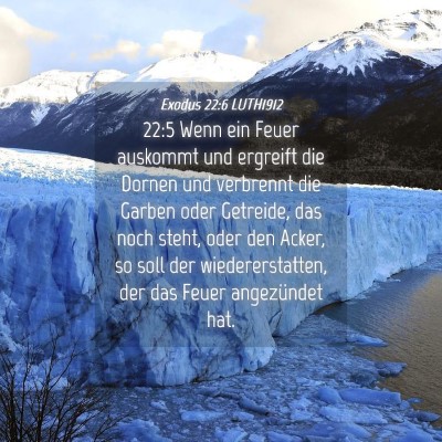 Picture 04 - Exodus 22:6 LUTH1912 - 22:5 Wenn ein Feuer auskommt und ergreift die - Bible Verse Picture