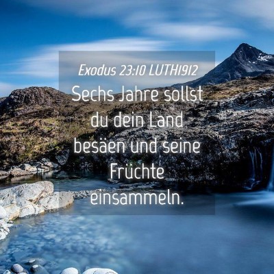 Picture 04 - Exodus 23:10 LUTH1912 - Sechs Jahre sollst du dein Land besäen und seine - Bible Verse Picture
