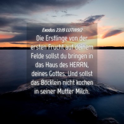 Picture 04 - Exodus 23:19 LUTH1912 - Die Erstlinge von der ersten Frucht auf deinem - Bible Verse Picture
