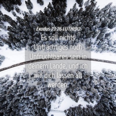 Picture 04 - Exodus 23:26 LUTH1912 - Es soll nichts Unträchtiges noch Unfruchtbares - Bible Verse Picture