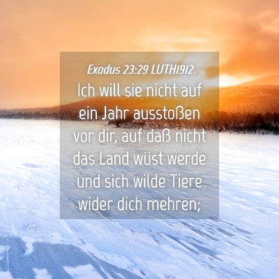 Picture 04 - Exodus 23:29 LUTH1912 - Ich will sie nicht auf ein Jahr ausstoßen vor - Bible Verse Picture