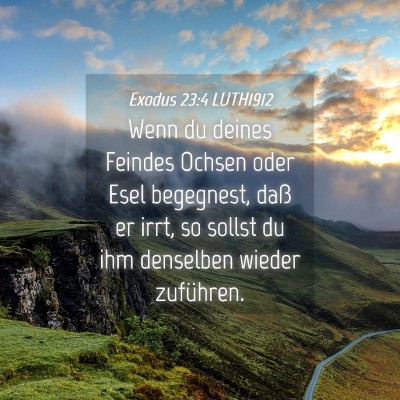 Picture 04 - Exodus 23:4 LUTH1912 - Wenn du deines Feindes Ochsen oder Esel - Bible Verse Picture