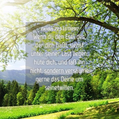 Picture 04 - Exodus 23:5 LUTH1912 - Wenn du den Esel des, der dich haßt, siehst - Bible Verse Picture