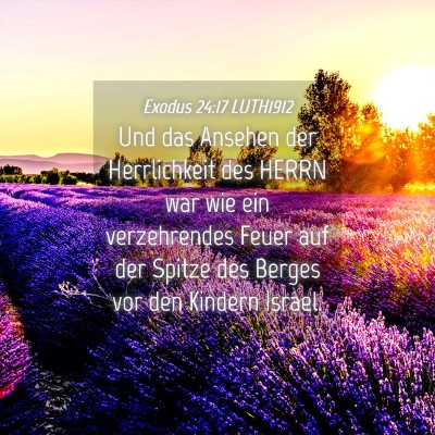 Picture 04 - Exodus 24:17 LUTH1912 - Und das Ansehen der Herrlichkeit des HERRN war - Bible Verse Picture