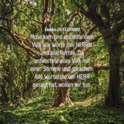 Picture 04 - Exodus 24:3 LUTH1912 - Mose kam und erzählte dem Volk alle Worte des - Bible Verse Picture