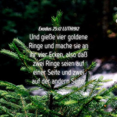 Picture 04 - Exodus 25:12 LUTH1912 - Und gieße vier goldene Ringe und mache sie an - Bible Verse Picture