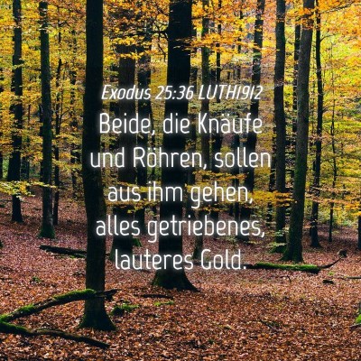 Picture 04 - Exodus 25:36 LUTH1912 - Beide, die Knäufe und Röhren, sollen aus ihm - Bible Verse Picture