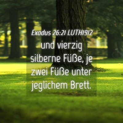 Picture 04 - Exodus 26:21 LUTH1912 - und vierzig silberne Füße, je zwei Füße unter - Bible Verse Picture