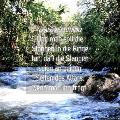 Picture 04 - Exodus 27:7 LUTH1912 - Und man soll die Stangen in die Ringe tun, daß - Bible Verse Picture
