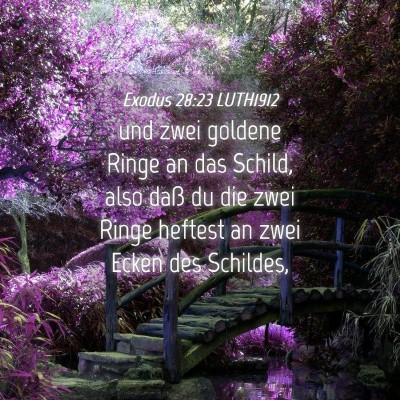 Picture 04 - Exodus 28:23 LUTH1912 - und zwei goldene Ringe an das Schild, also daß - Bible Verse Picture