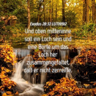 Picture 04 - Exodus 28:32 LUTH1912 - Und oben mitteninne soll ein Loch sein und eine - Bible Verse Picture