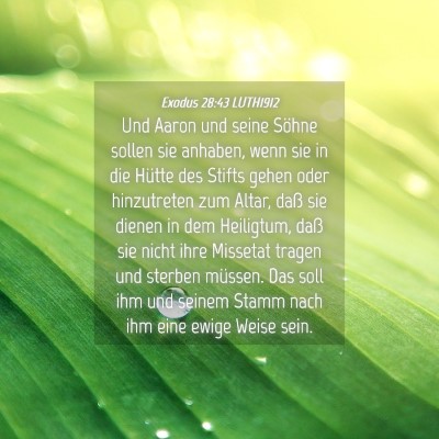 Picture 04 - Exodus 28:43 LUTH1912 - Und Aaron und seine Söhne sollen sie anhaben, - Bible Verse Picture