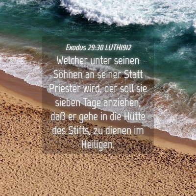 Picture 04 - Exodus 29:30 LUTH1912 - Welcher unter seinen Söhnen an seiner Statt - Bible Verse Picture