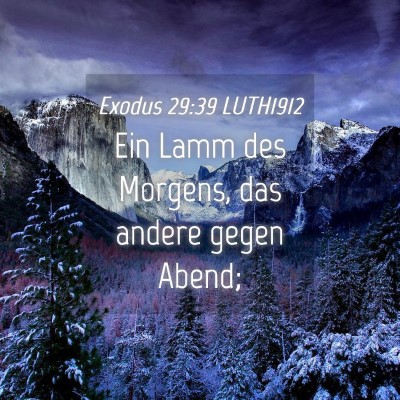 Picture 04 - Exodus 29:39 LUTH1912 - Ein Lamm des Morgens, das andere gegen - Bible Verse Picture