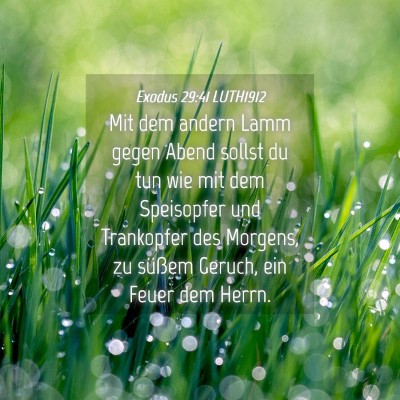 Picture 04 - Exodus 29:41 LUTH1912 - Mit dem andern Lamm gegen Abend sollst du tun wie - Bible Verse Picture