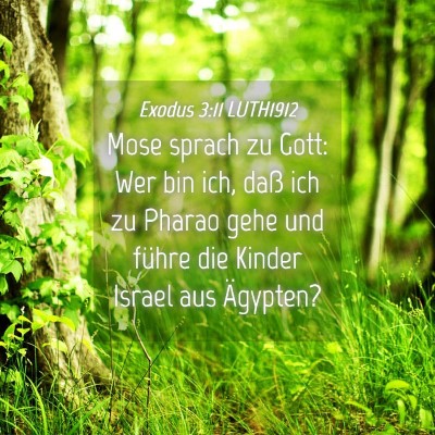 Picture 04 - Exodus 3:11 LUTH1912 - Mose sprach zu Gott: Wer bin ich, daß ich zu - Bible Verse Picture