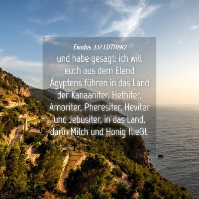 Picture 04 - Exodus 3:17 LUTH1912 - und habe gesagt: ich will euch aus dem Elend - Bible Verse Picture