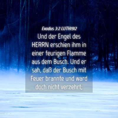 Picture 04 - Exodus 3:2 LUTH1912 - Und der Engel des HERRN erschien ihm in einer - Bible Verse Picture