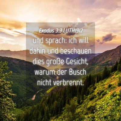Picture 04 - Exodus 3:3 LUTH1912 - und sprach: ich will dahin und beschauen dies - Bible Verse Picture