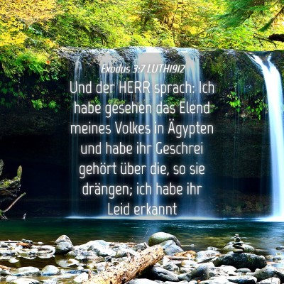 Picture 04 - Exodus 3:7 LUTH1912 - Und der HERR sprach: Ich habe gesehen das Elend - Bible Verse Picture